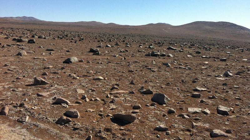 Felsen in der Atacama-Wüste: Das Team um Prof. Alexander Probst hat hier Proben genommen.