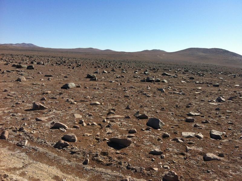 Microbes and viruses: Prof. Alexander Probst's international team took samples from under these rocks in the Atacama Desert.