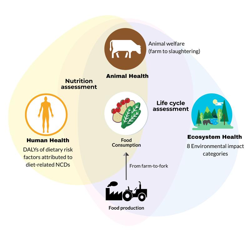 Konzept: In der Studie wurden vier Ernährungsformen hinsichtlich ihrer Auswirkungen auf die Gesundheit, die Umwelt und das Tierwohl miteinander verglichen.