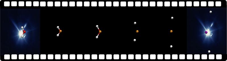 Nach der Absorption eines Röntgenphotons kann sich das Wassermolekül so weit aufbiegen, dass sich nach nur etwa zehn Femtosekunden (billiardstel Sekunden) beide Wasserstoffatome (grau) gegenüberstehen, mit dem Sauerstoffatom (rot) in der Mitte.
