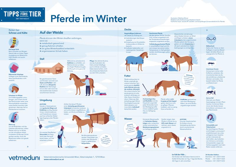 Tipps fürs Tier "Pferde im Winter"