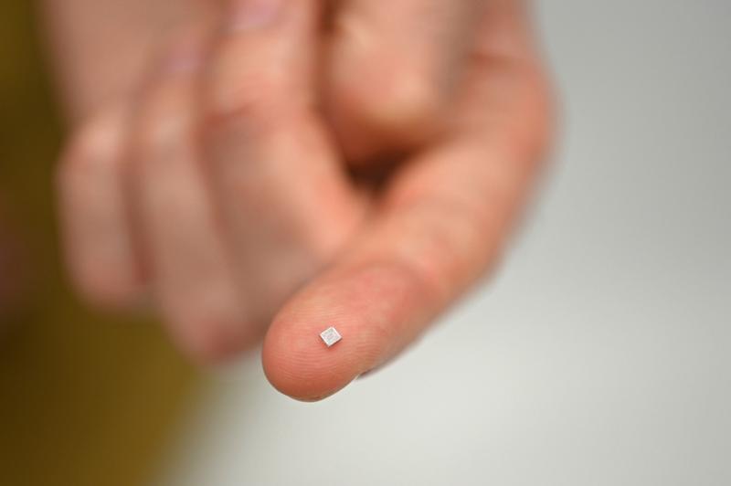 Der Chip erscheint auf einer Fingerkuppe winzig.