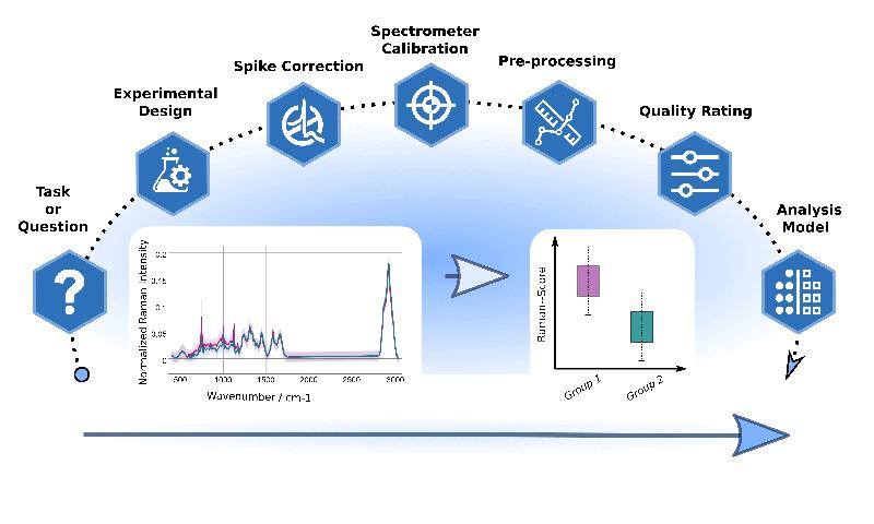 Instructions for standardized Raman spectral analysis