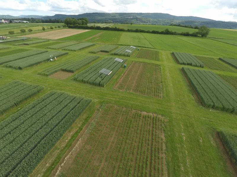 Weltweit bedeutendster Langzeit-Feldversuch zum Vergleich biologischer und konventioneller Anbausysteme in Therwil, Schweiz, mit Regenausschlussdächern. 