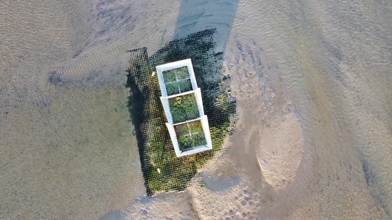 View of one of the artificial islands in the tidal flats off the island of Spiekeroog in the East Frisian Wadden Sea, Germany.