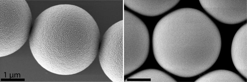 Elektronenmikroskopische Aufnahmen gleichnamiger Polystyrol-Partikel von zwei verschiedenen Herstellern. Sie zeigen verschiedene Oberflächenmorphologien, die zu unterschiedlichen Zellinteraktionen führen können.