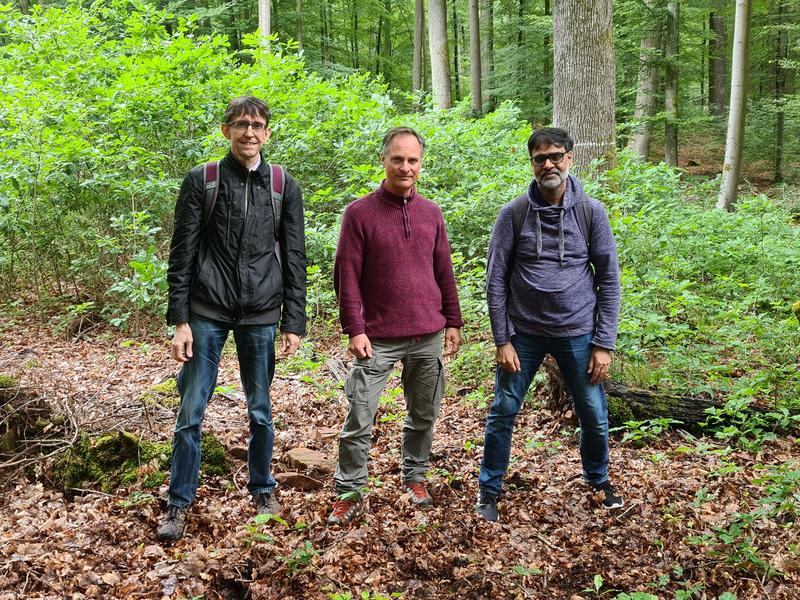 Die Projektpartner vor einem Lichtkegel mit nachwachsenden Jungeichen bei Waldleiningen: (v.l.n.r.) Prof. Matthias Hahn (TUK), Dr. Stefan Seegmüller (FAWF, Trippstadt) und Dr. Mohammad Saeed (TUK).