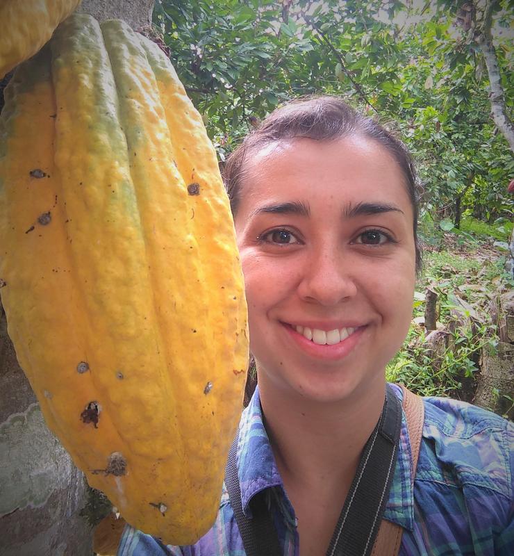Erstautorin Carolina Ocampo-Ariza von der Universität Göttingen neben einer reifen Kakaoschote, die von der einheimischen peruanischen Sorte "Cacao blanco de Piura" stammt.