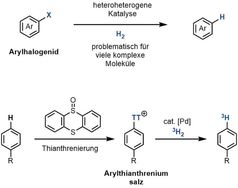 Hydrogenolyse von Arylthianthrenium Salzen mit Tritium Gast