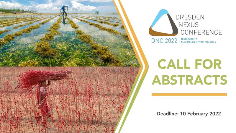 Submit your abstracts by 10 February 2022.