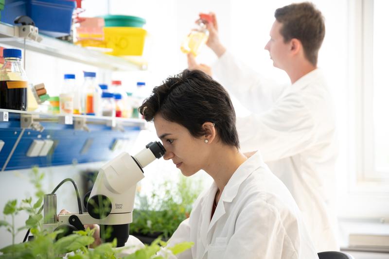 Plant biologists in the laboratory, Department of Molecular Biology,