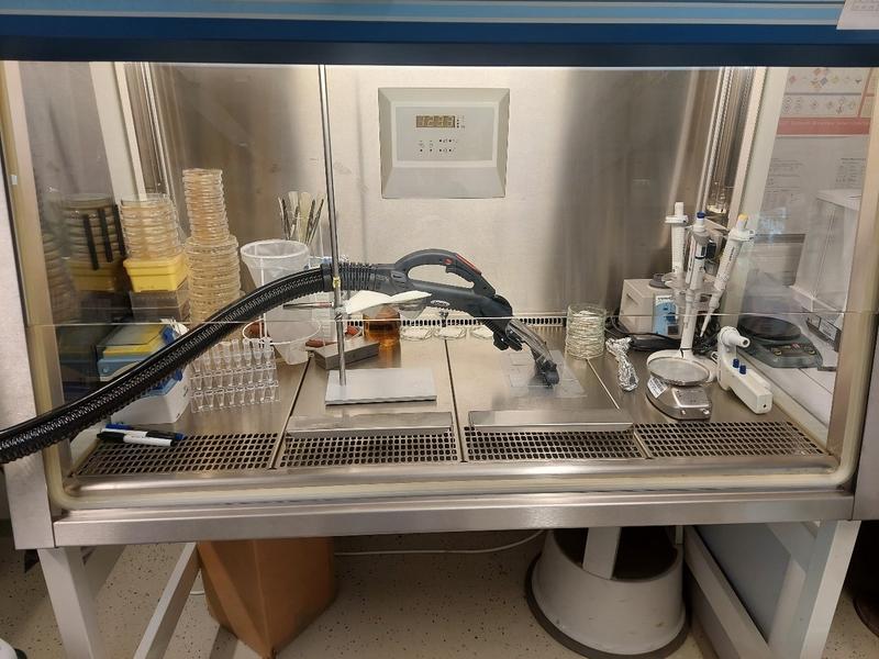 Test setup with steam vacuum cleaner for analyzing the disinfection success