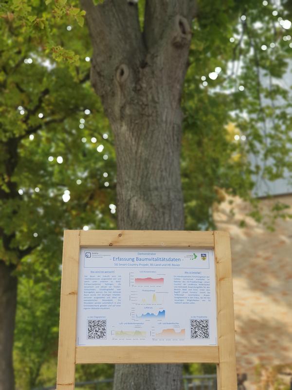 Das Bild zeigt einen Baum auf dem Ostfalia-Campus, den das Forschungsteam zu Demonstrationszwecken mit Sensortechnik ausgestattet hat.