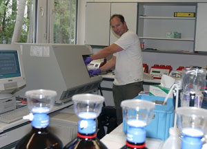 Dr. Michael Schloter im Labor des Instituts für Bodenökologie bei der Untersuchung der Proben. 