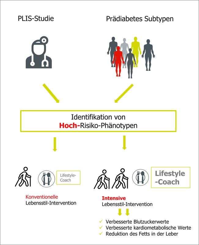 Menschen mit Hochrisiko-Prädiabetes profitieren von einer intensiven Lebensstilintervention - mehr Bewegung verbessert den Blutzucker und die kardiometabolischen Werte und verringert den Leberfettgehalt.  