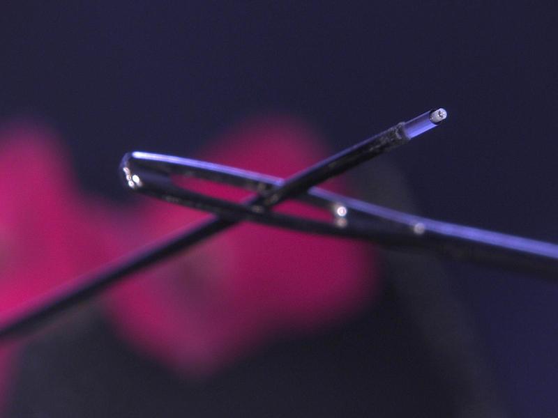Ultra-thin endoscope that is pushed through the eye of a needle. 