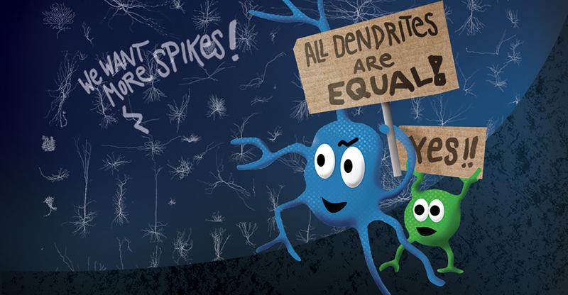 The call for equal rights affects one of the smallest components of the brain, too: the dendrites 