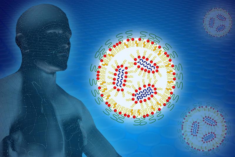 Zum ihrem Schutz ist die mRNA (blaue Schlangen) in einem Lipid-Nanopartikel verpackt. Mit Neutronen der Forschungs-Neutronenquelle untersuchte ein Forschungsteam verschiedene Formulierungen, um die Übergabe der mRNA an die Zelle zu optimieren.