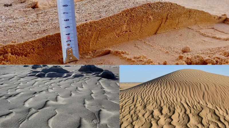 It’s all in the mix: In megaripples in sand deserts (bottom), the composition of coarse and fine grains of sand (top) varies depending on the wind. For the first time, researchers have demonstrated a universal grain-size ratio hidden in that composition. 