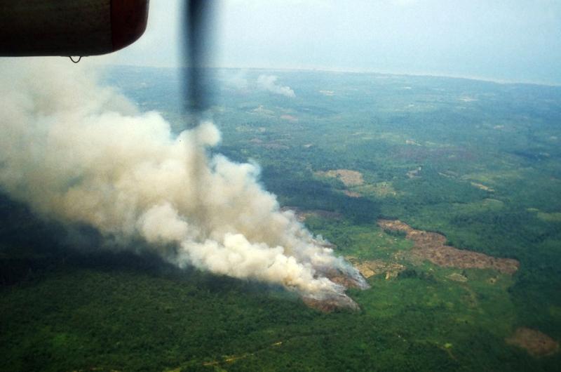 Aerosole aus der Verbrennung von Biomasse haben in Südostasien wie hier in der indonesischen Provinz Kalimantan Timur auf Borneo einen besonders starken Einfluss auf die Wolkenbildung.
