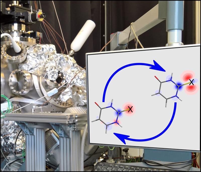 Ein Team um Prof. Dr. Markus Gühr hat Ladungsbewegungen in lichtangeregten Molekülen von Thiouracil, einer modifizierten Nukleobase, beobachtet.