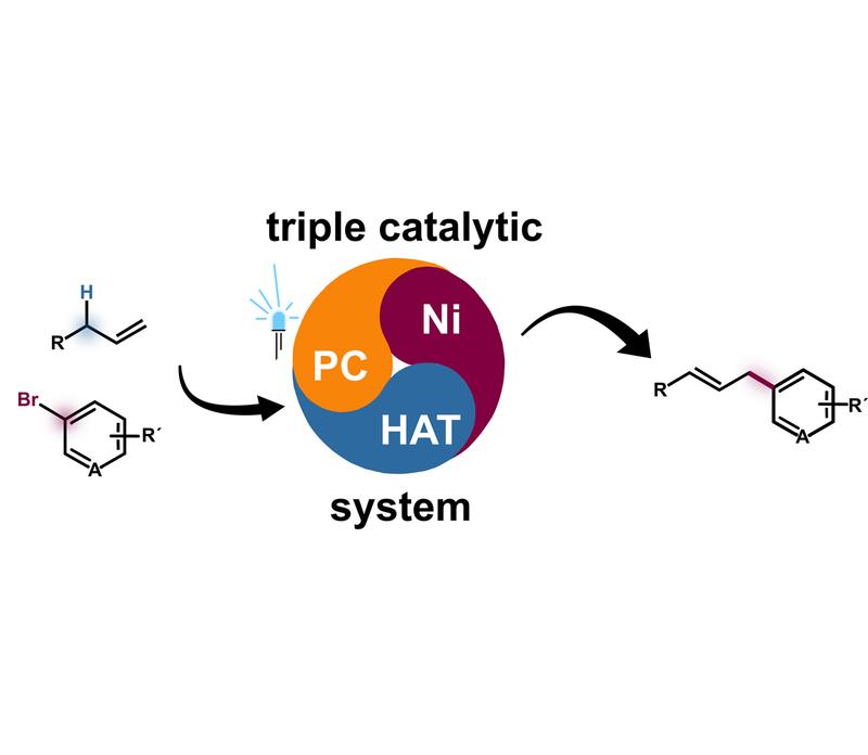 The new method for arylation of unactivated alkenes is based on a ternary nickel(Ni)-hydrogen atom transfer (HAT) photodox (PC) synergy system (schematically shown in the middle). 