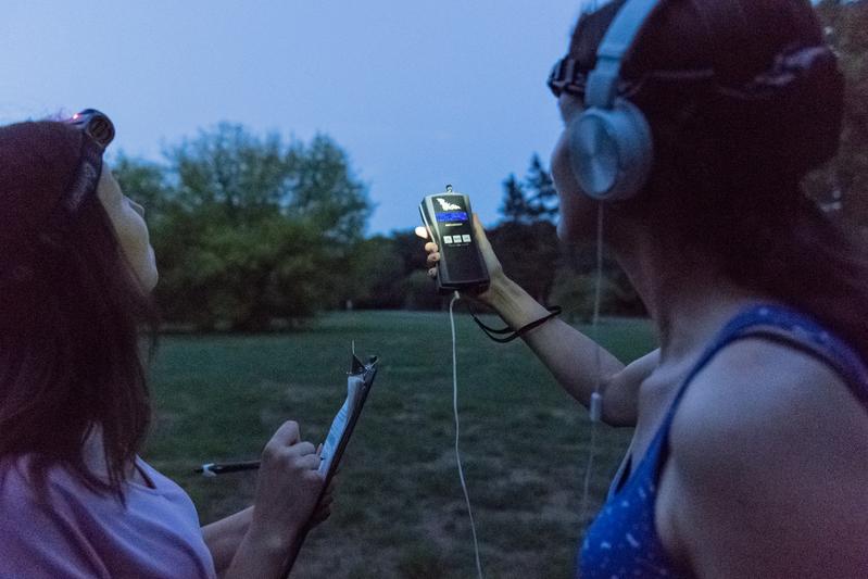 Bürgerwissenschaftler:innen mit Bat Detector im Einsatz