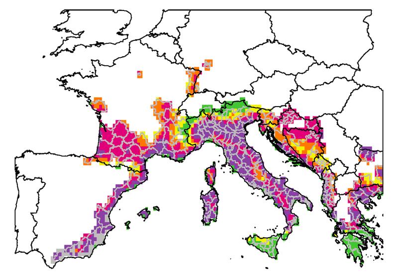 Risikokarte für das Chikungunya-Virus in Europa