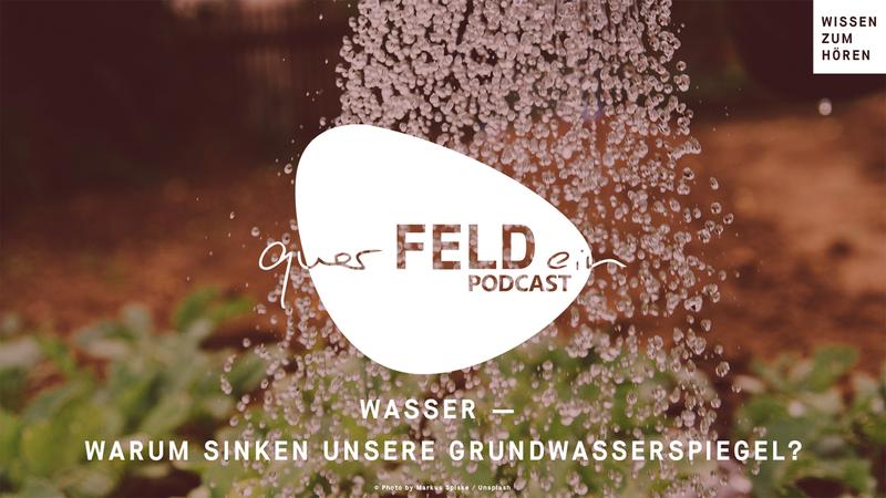 querFELDein-Podcast: Neue Folge rund um das Thema Wasser mit Prof. Gunnar Lischeid