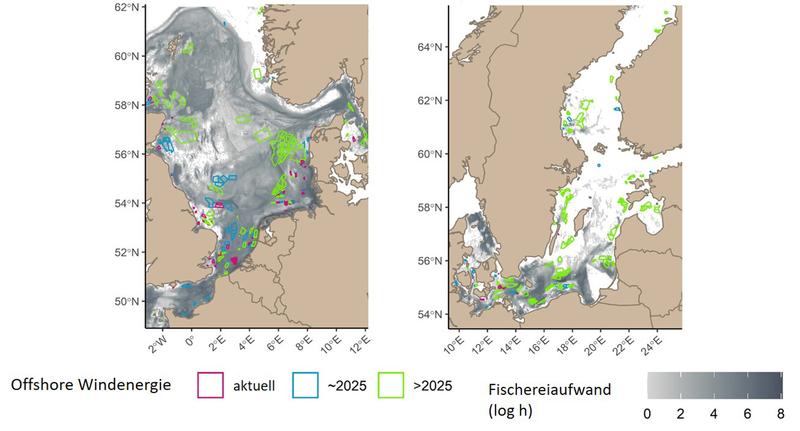 Überlagerung des jährlichen internationalen Aufwands von bodenberührenden Fischereien in der Nordsee (2009-2017) und Ostsee (2009-2016) mit dem aktuellen und zukünftigen Ausbau der Offshore-Windenergie. Fischereiaufwand: Je stärker das Grau, umso