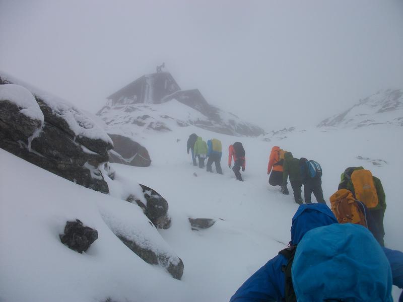 Teamwork: Die Forschenden steigen zur Station im Hohe Tauern Nationalpark auf. 