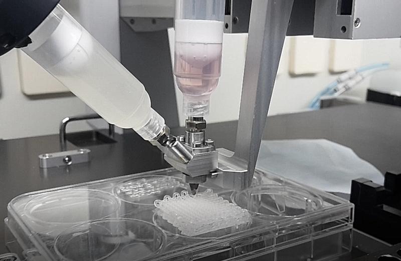 Bioprinting of two different cell types and materials, utilising a coaxial nozzle