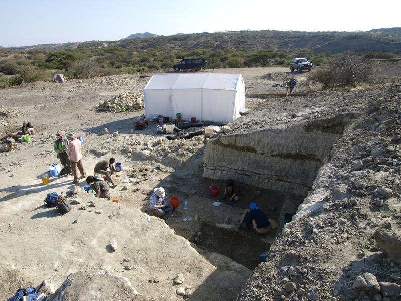 Ausgrabungen in der Olduvai-Schlucht in Tansania