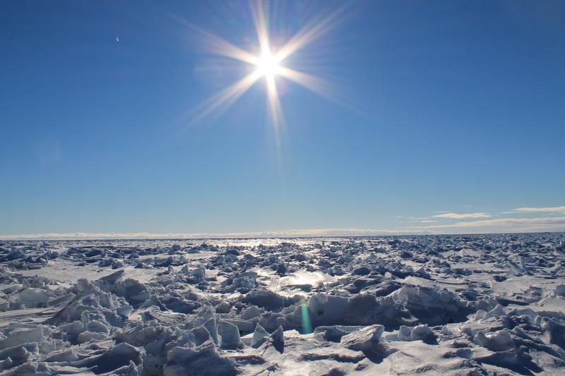 The Antarctic