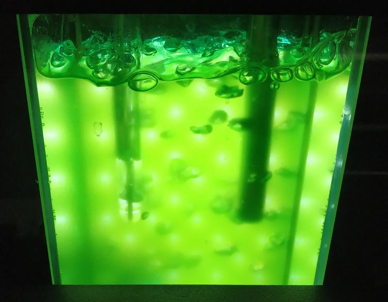 Photobioreaktoren (PSI, Tschechische Republik) mit Flüssigkulturen von Chlorella ohadii, eine einzellige Grünalge, zur Messung und Überwachung des Wachstums und der Photosyntheseraten.