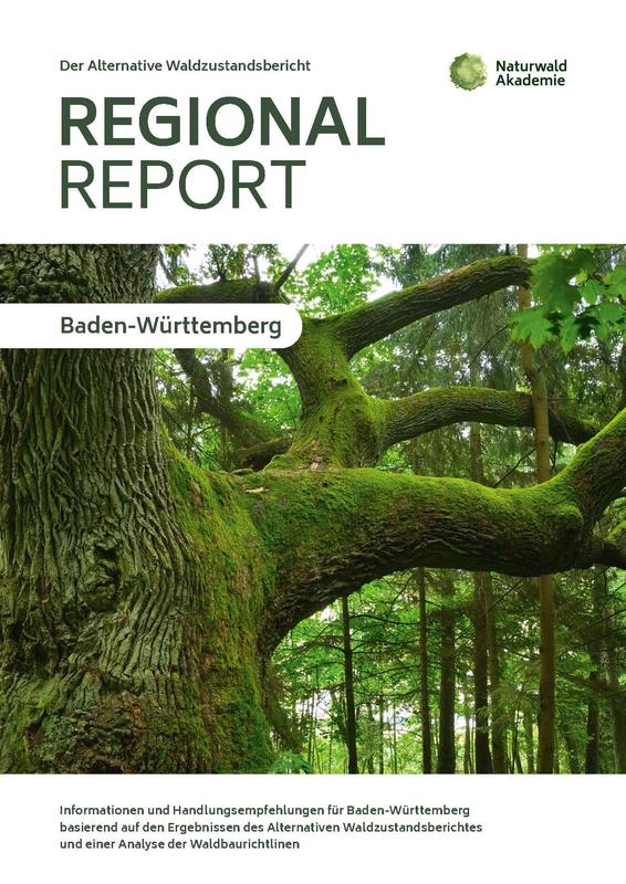 Cover des Regional Reports für Baden-Württemberg