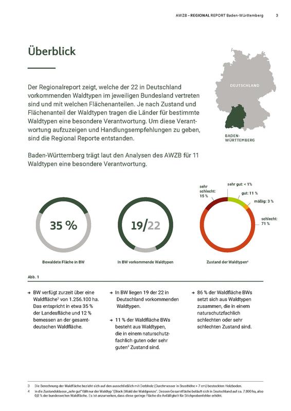 Überblick über die Ergebnisse des Regional Reports Baden-Württemberg