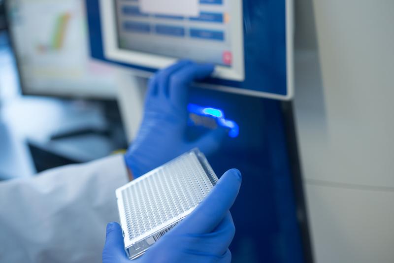 Um die molekularen Signalwege in gesunden und kranken Herzen besser zu verstehen, analysieren Forschende nichtcodierende Mikro-RNAs mithilfe der Real-time-PCR.