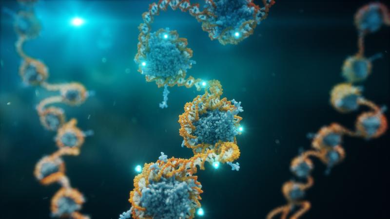 Visualisierung der DNA-Methylierung: Markierungen an der DNA können bestimmte Expressionen in der Zelle erhöhen oder verringern und hinterlassen eine entsprechende Signatur auf der DNA.  