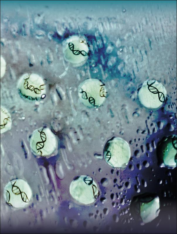 Droplets of transcription factors wet a surface and reveal regulatory DNA regions. This process is symbolized in this photograph of droplets of purified protein on a glass surface with hand-drawn DNA on the back of the glass.