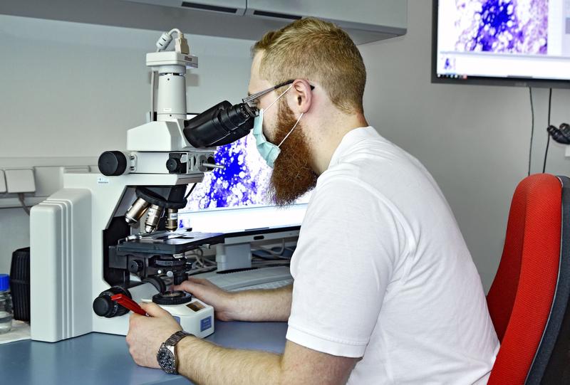 Analyse eines Knochenmarkausstrichs unter dem Mikroskop. Künftig soll ein KI-basiertes Computersystem bei der Erstdiagnose einer akuten myeloischen Leukämie unterstützen. 