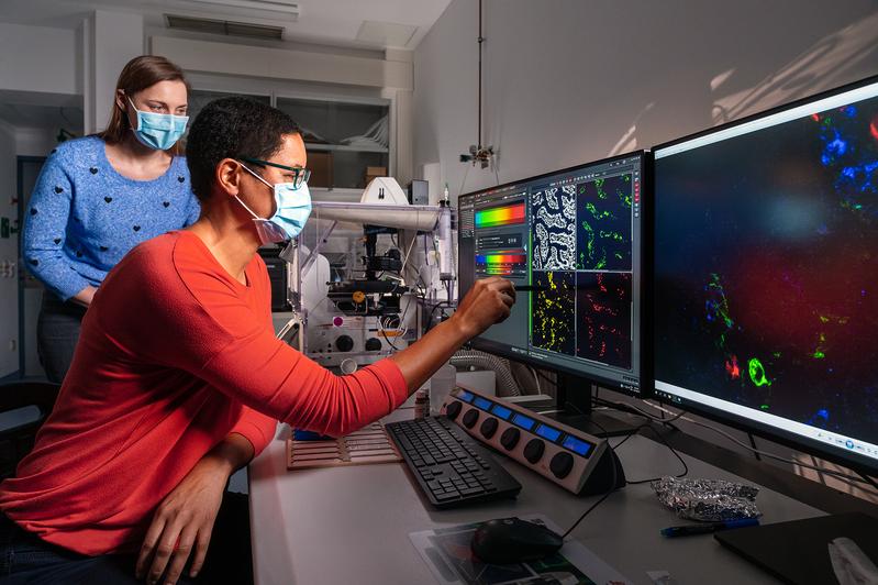 Dr. Monica Yabal, Forschungsgruppenleiterin an der TUM (vorne) und ihr Team haben herausgefunden, wie es bei entzündlichen Darmerkrankungen zu einer fatalen Kettenreaktion kommt, die das Mikrobiom im Darm aus dem Gleichgewicht bringt.