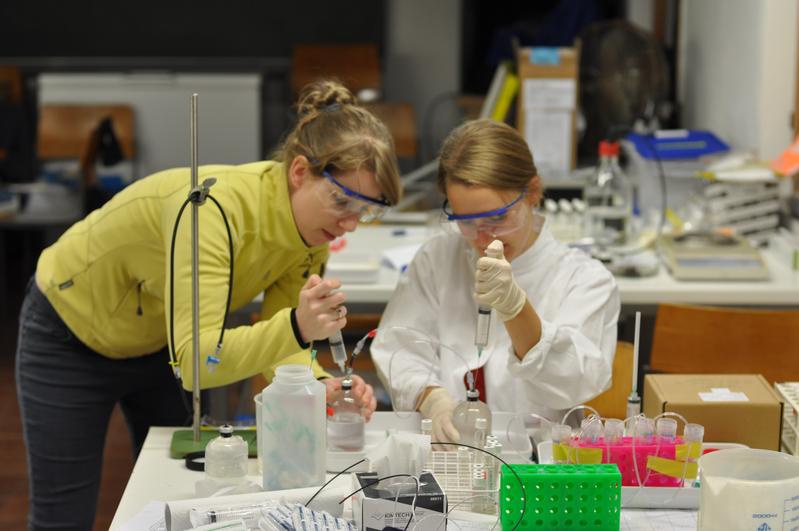 To study the mechanisms behind methane production in seagrass meadows, researchers perform laboratory incubations (Jana Milucka on the left, Sina Schorn on the right).