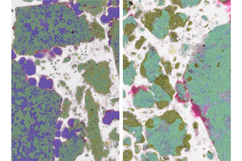 Both images of metal hydrides were taken with a scanning electron microscope/ energy dispersive X-ray microanalysis. Photo: Hereon/ Clarissa Abetz