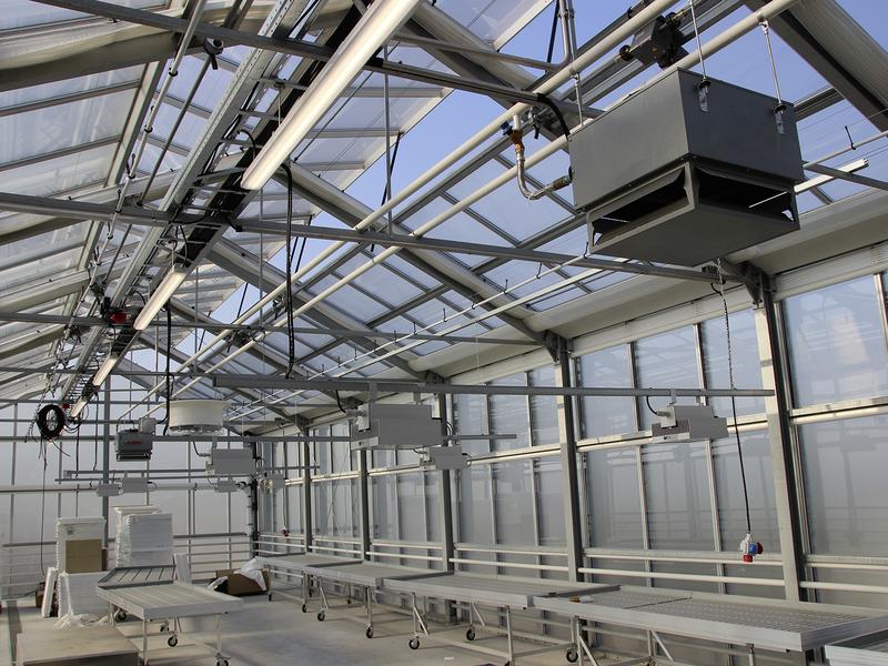 Im Dachgewächshaus »Altmarktgarten Oberhausen« testen die Forschenden das Glas-Folien Dach unter realen Einsatzbedingungen.