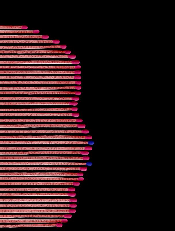 The image shows matches, an allusion to matching facial features and diseases. A gene sequence is also burned onto the matches. This encryption contains the title and the authors of the study. The blue match heads symbolize rare diseases. 