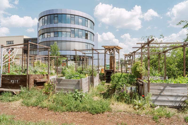 Fördert Biodiversität und Lebensqualität: Urban Garden auf dem Campus der HTW Berlin.
