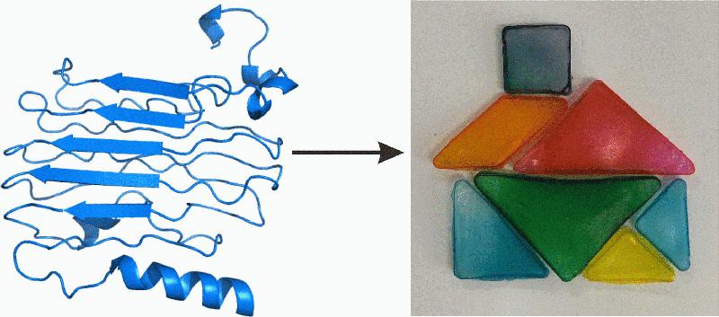 Fest und elastisch, aber abbaubar: Protein-basierte Biokunststoffe