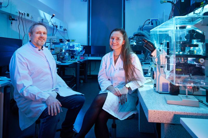 In einem gemeinsamen Projekt entwickeln der Biotechnologe Prof. Dr. Volker Busskamp und die Immunologin Prof. Dr. Elvira Mass Organoide der menschlichen Netzhaut.