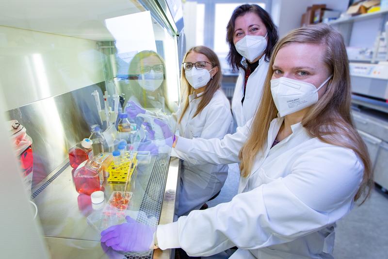 Inga Hochnadel (left), Dr. Tetyana Yevsa (centre), Dr. Lisa Hönicke (right) in the laboratory. 